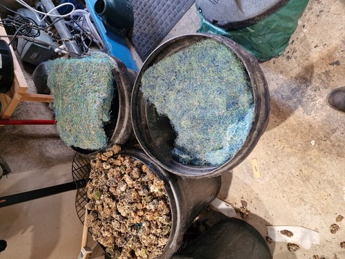 Koi pond filter system - filter,
