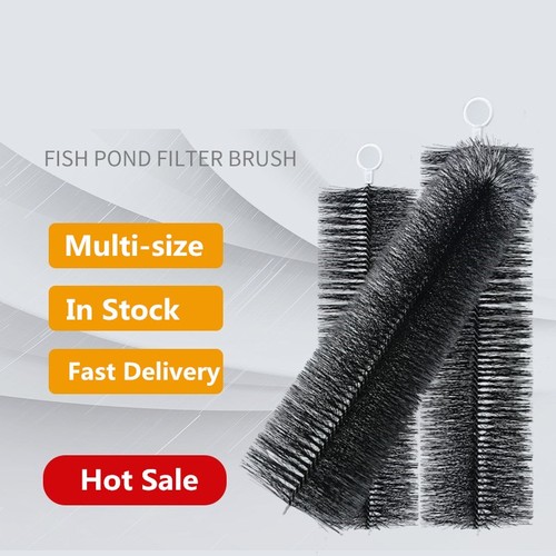 10pcs koi pond - koi,